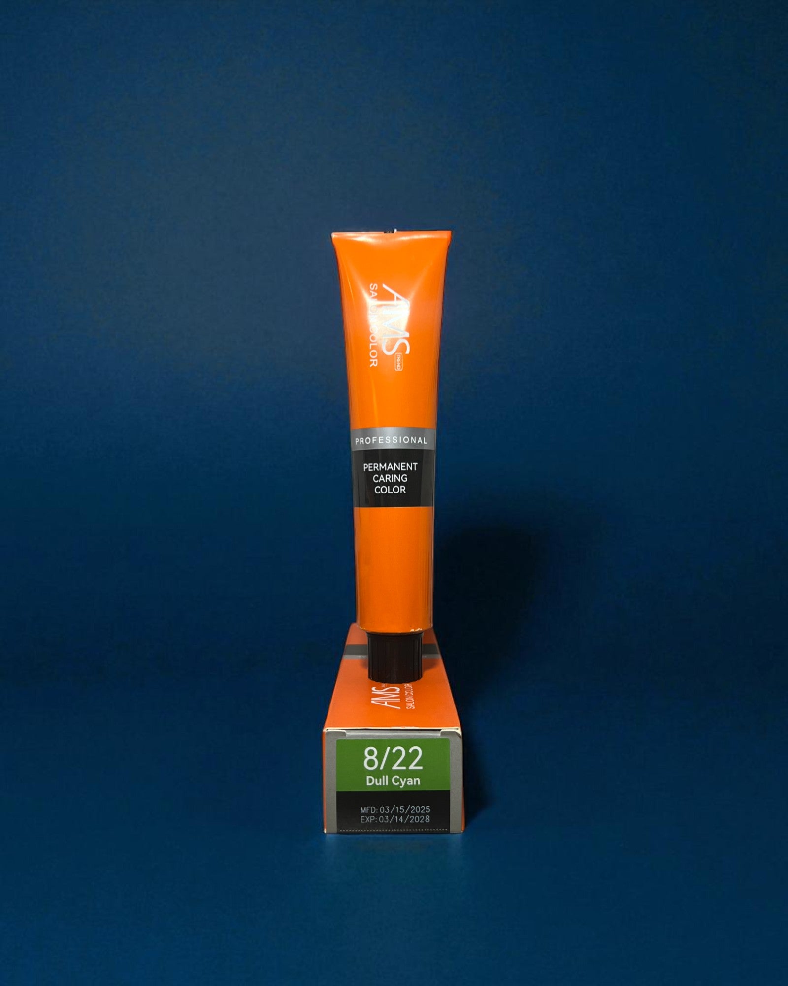 AMS Salon Color 8/22